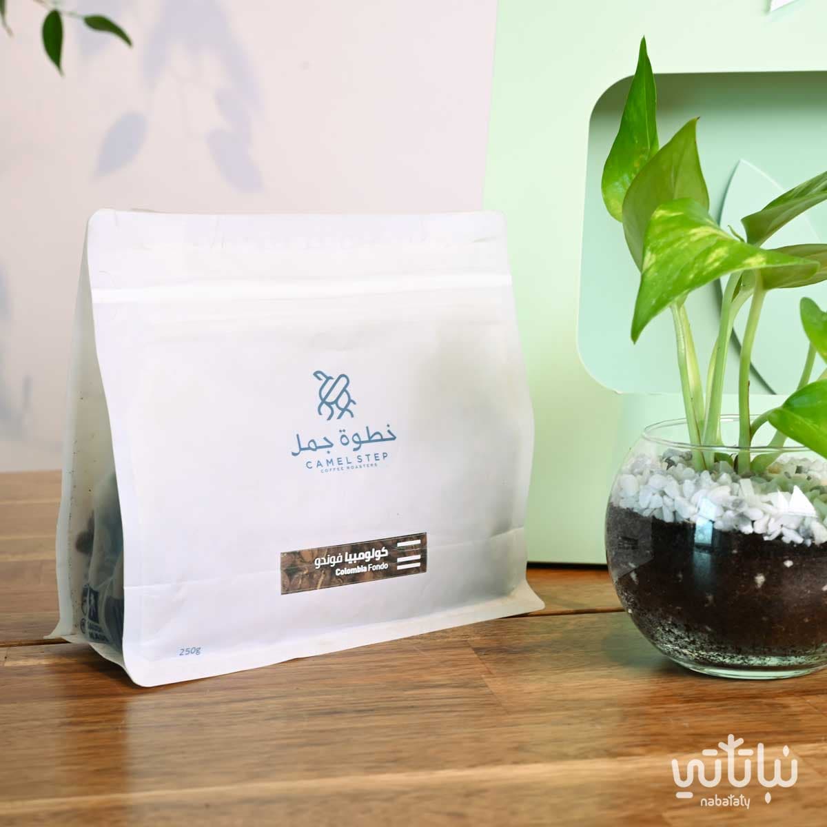 هدية نبتة البوتس اخضر فاتح مع قهوة كولومبيا فوندو 3