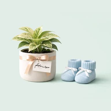 مبروك ماجاكم